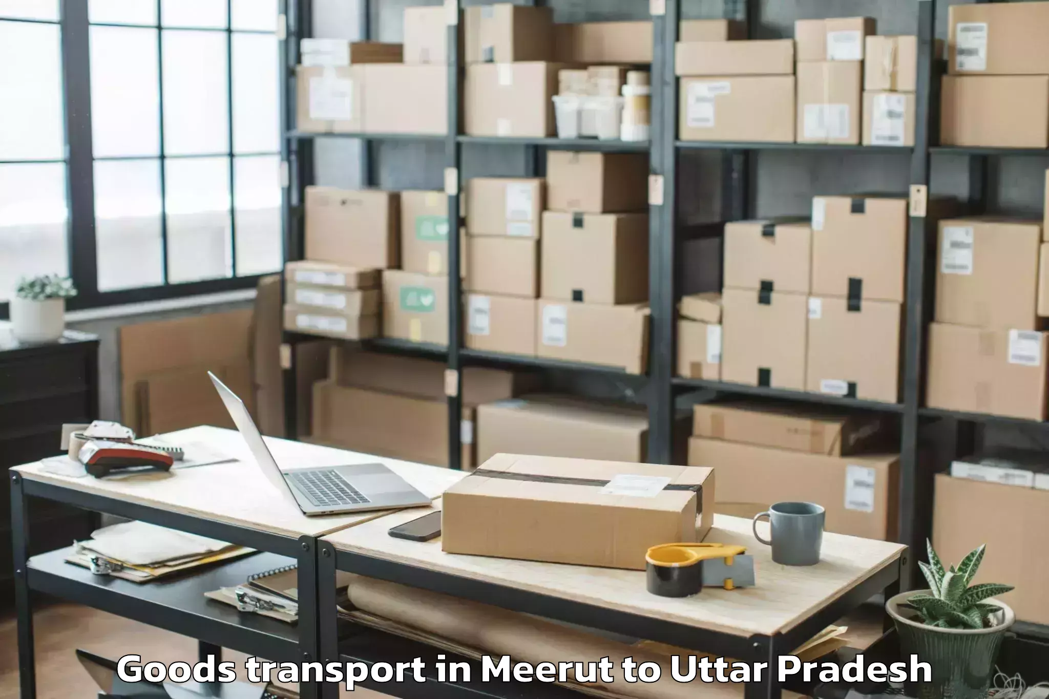 Book Meerut to Bilsi Goods Transport